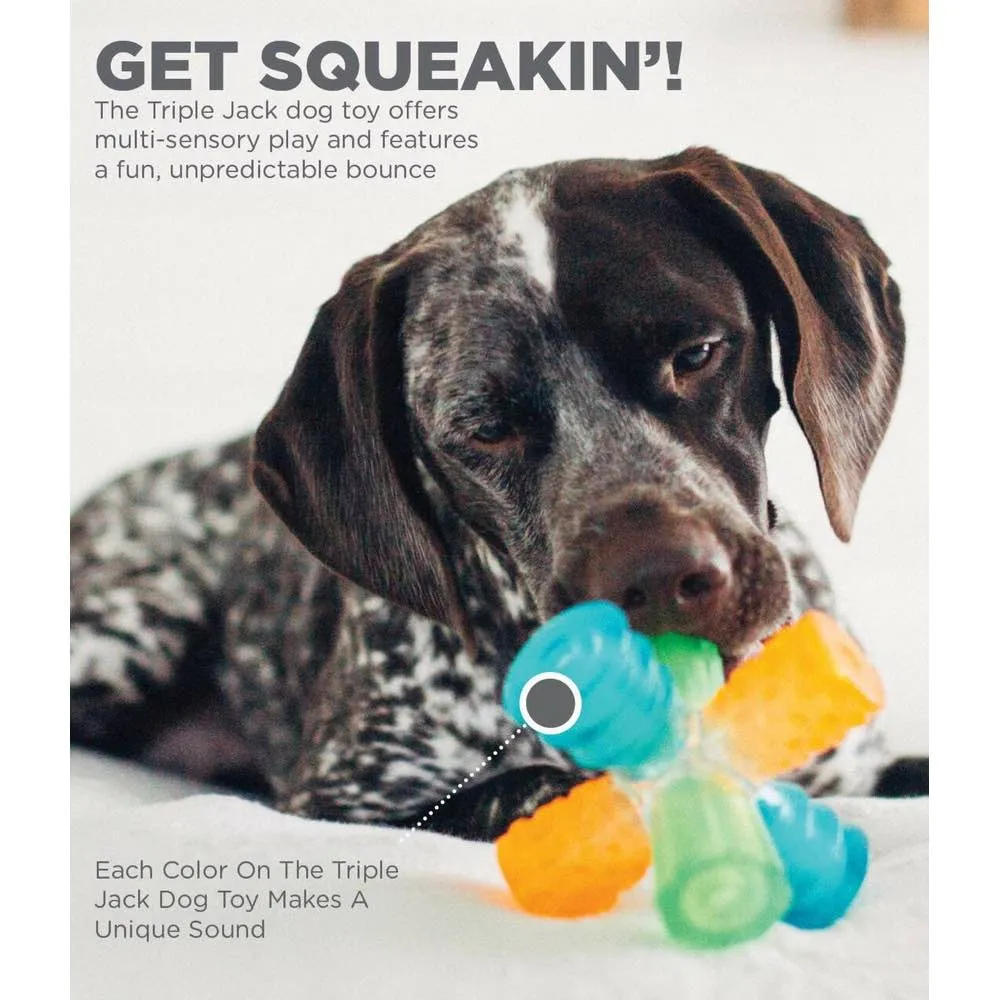 10% OFF: Outward Hound Triple Jack Interactive Multi-Squeak Dog Toy