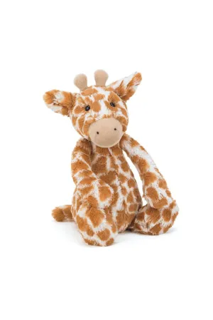 Bashful Giraffe