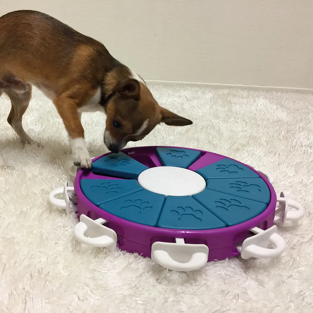 DOG PUZZLE GAME - DOG TWISTER