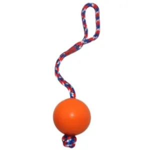 Emily Pets Rubber Ball with Rope Chew Toy for Dogs (Orange)