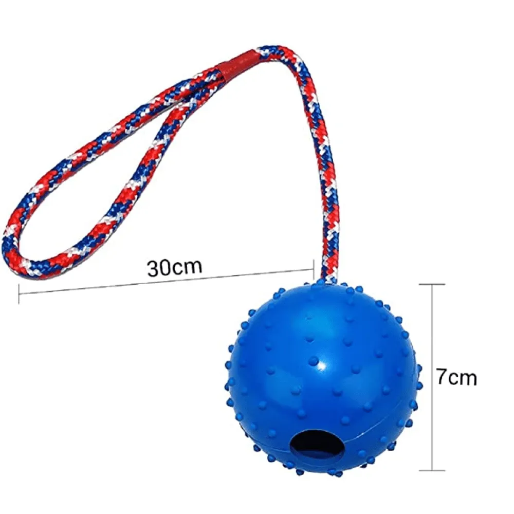 Emily Pets Rubber Ball with Rope Chew Toy for Dogs (Orange)