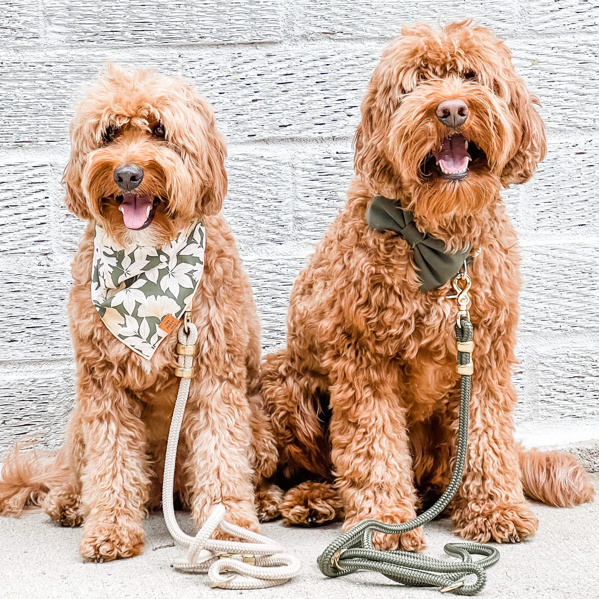 Flax Marine Rope Dog Leash