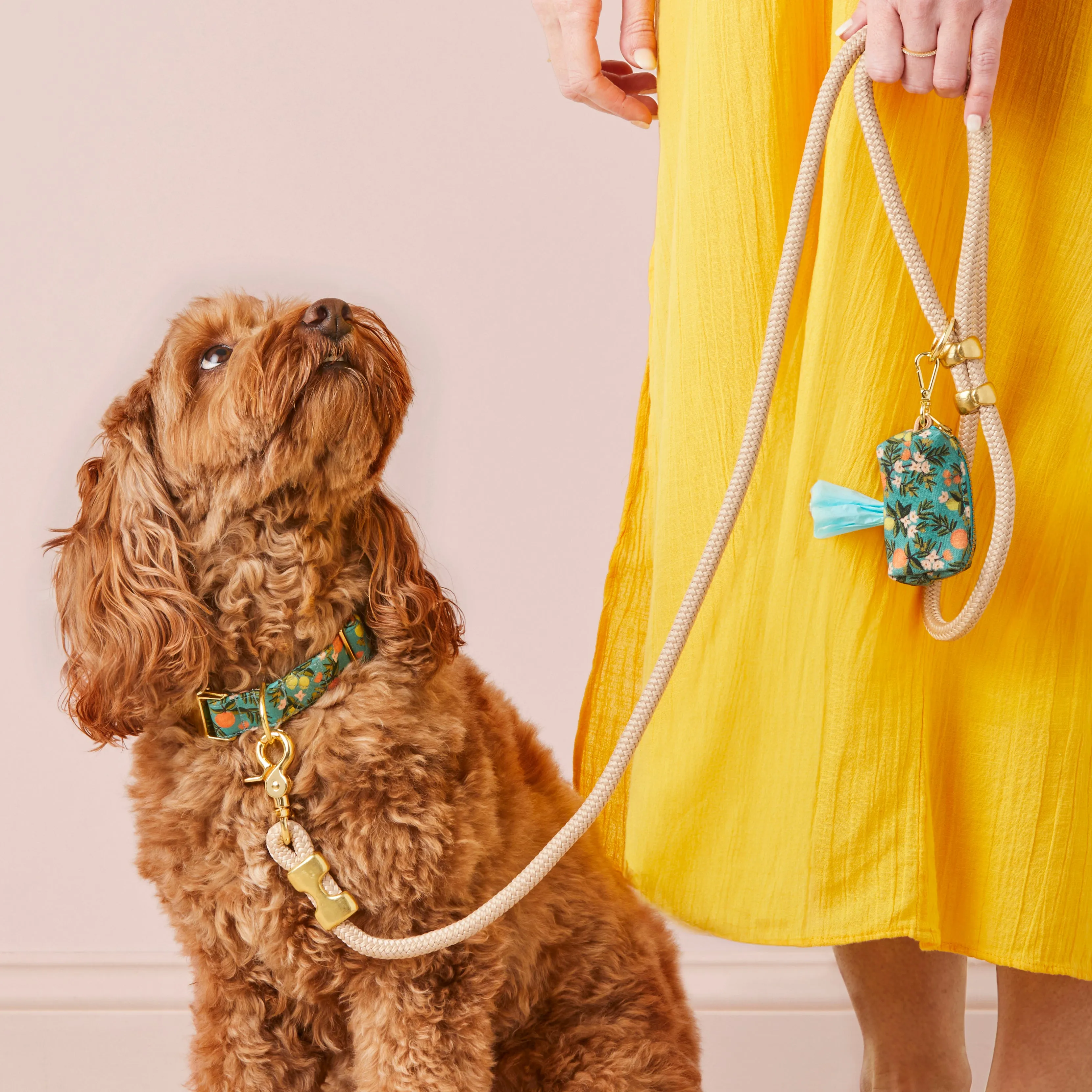 Flax Marine Rope Dog Leash