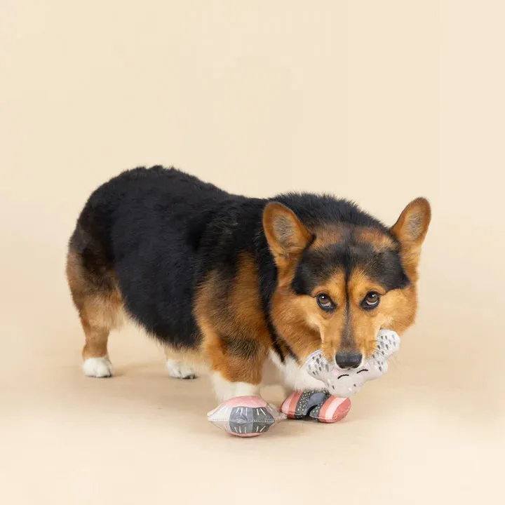 Fringe Dog Toy Rain Or Shine