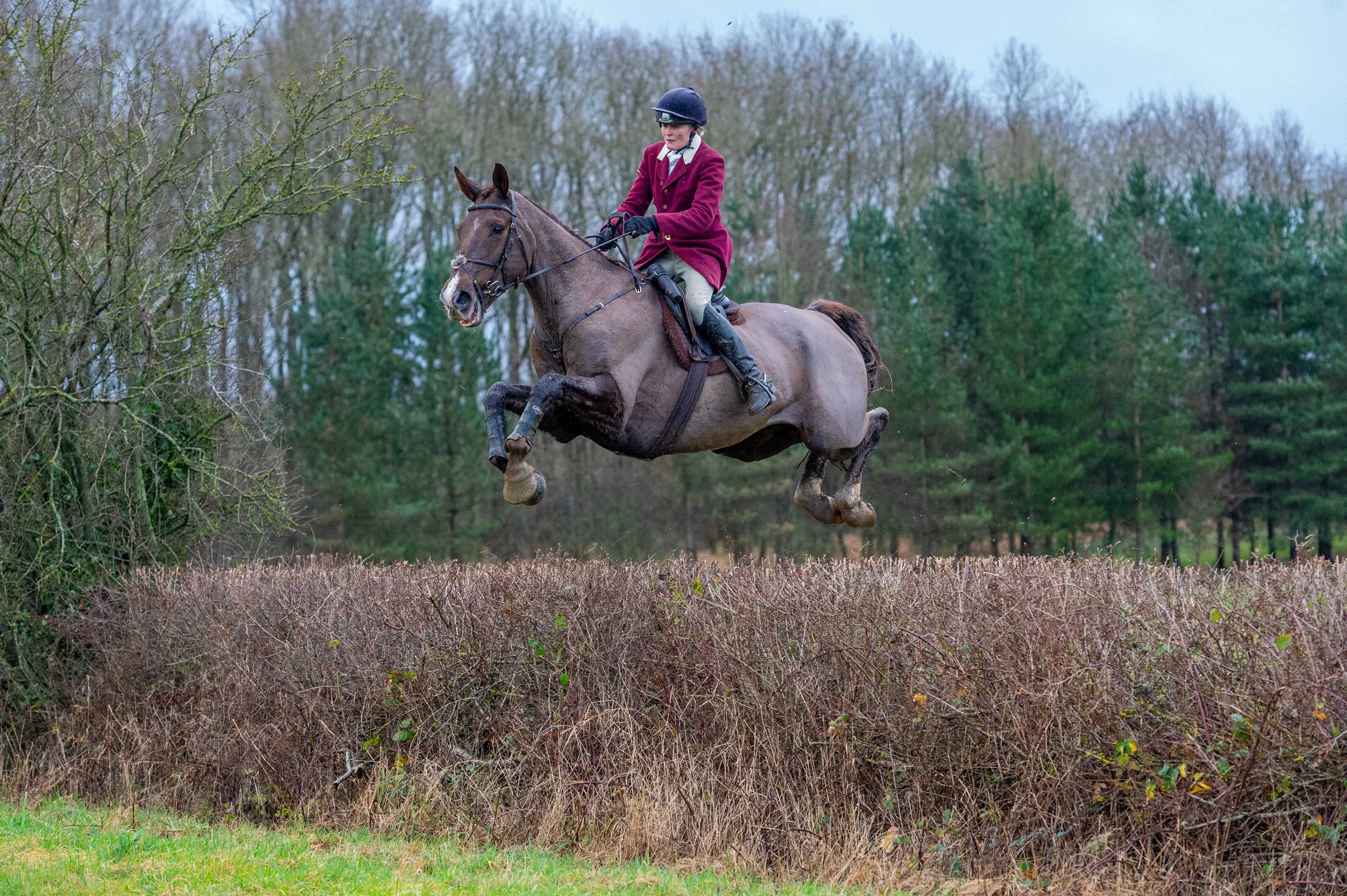 Glaze & Gordon Equestrian Charity Calendar 2025