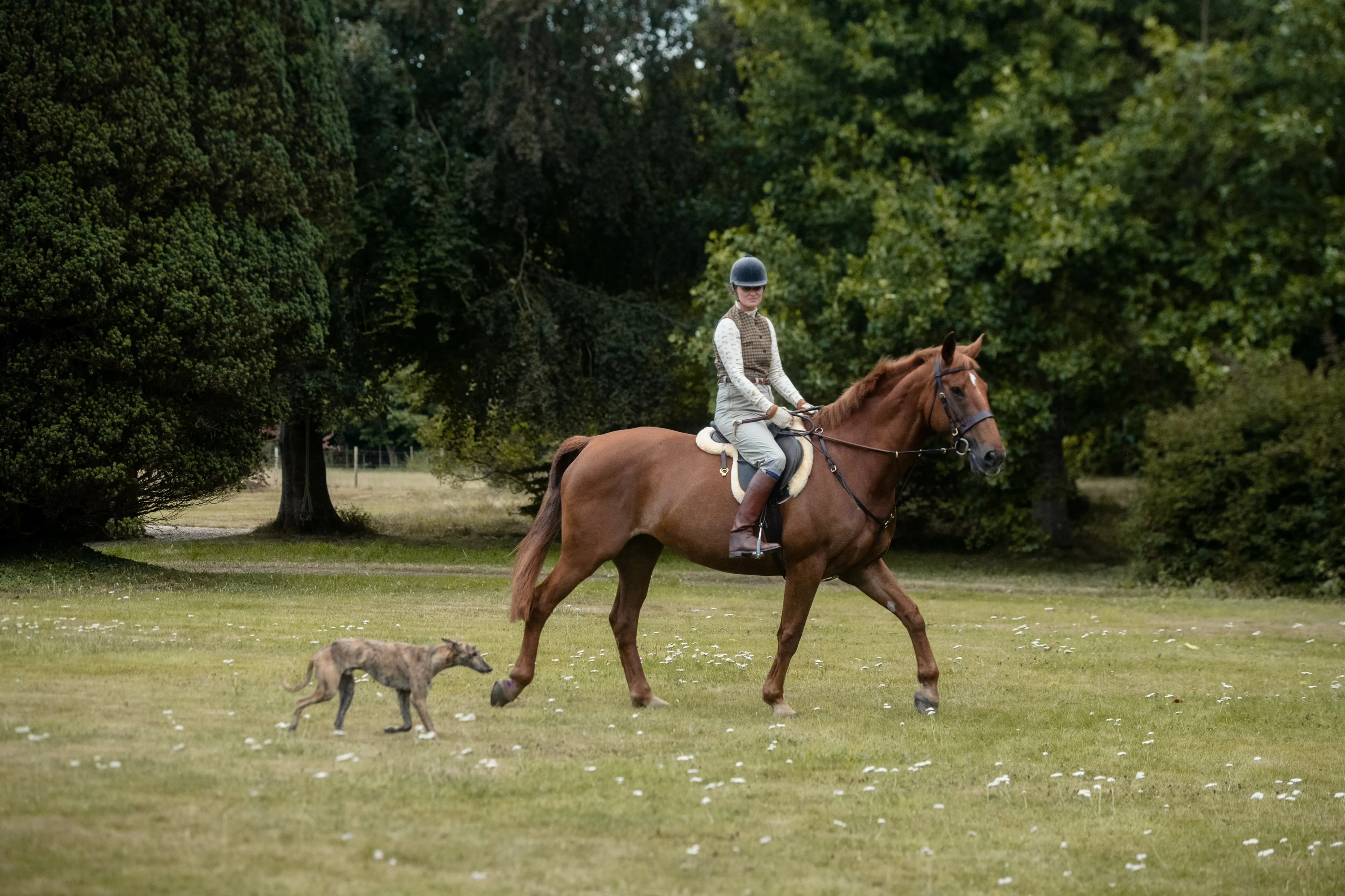 Glaze & Gordon Equestrian Charity Calendar 2025