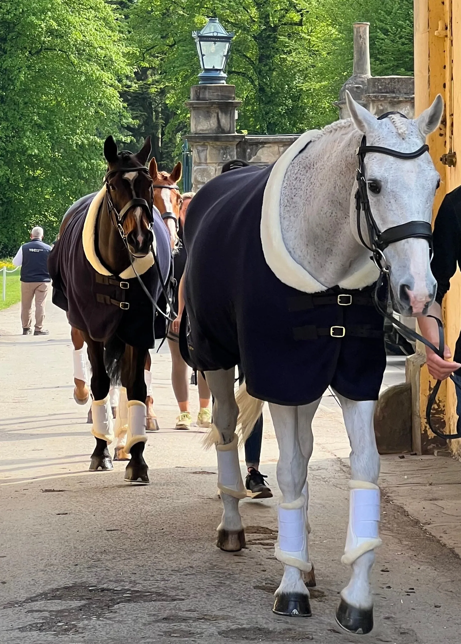 Glaze & Gordon Equestrian Charity Calendar 2025