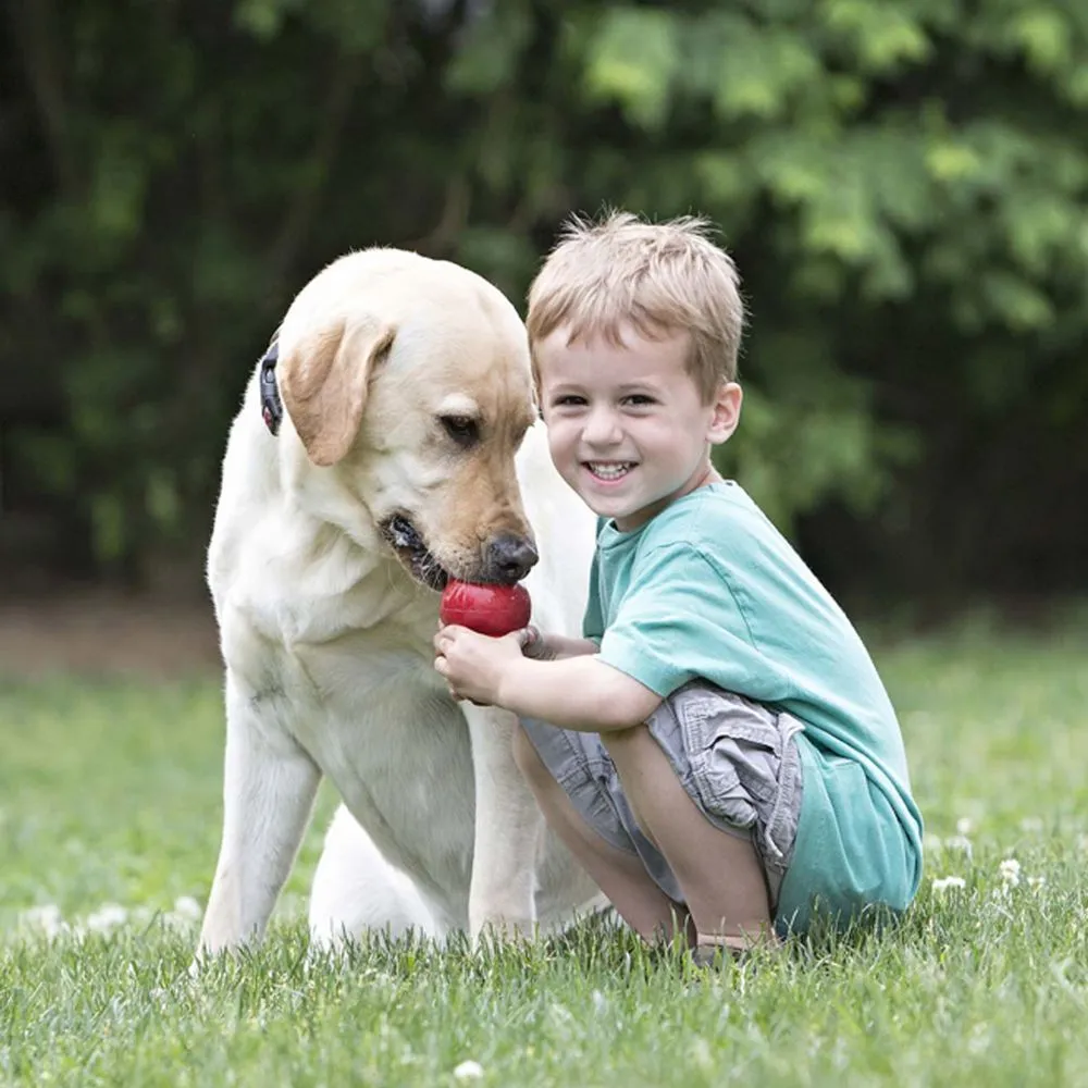 KONG Classic Dog Toy - Red