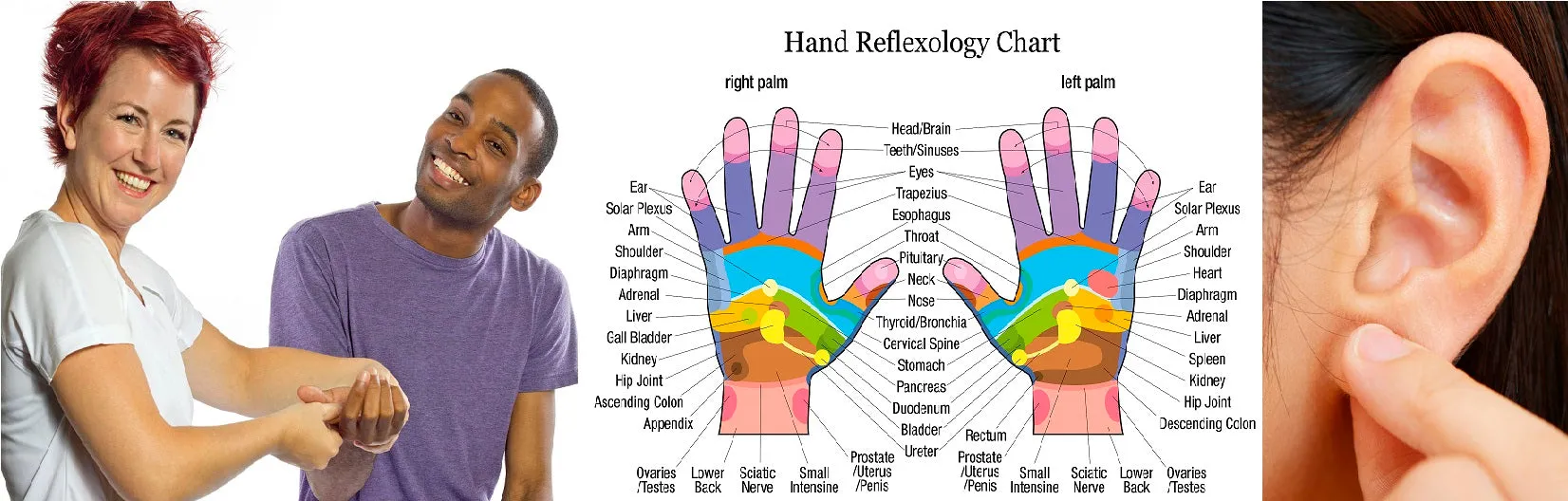 LIVE IN-PERSON 12 CE Hour Hand & Ear Reflexology with Chair Event Massage