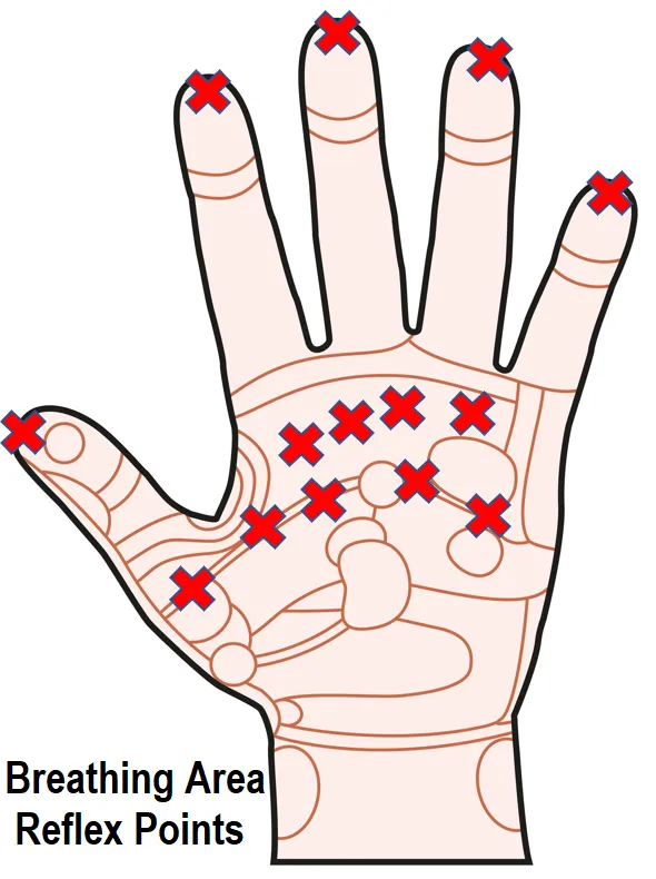 LIVE IN-PERSON 12 CE Hour Hand & Ear Reflexology with Chair Event Massage