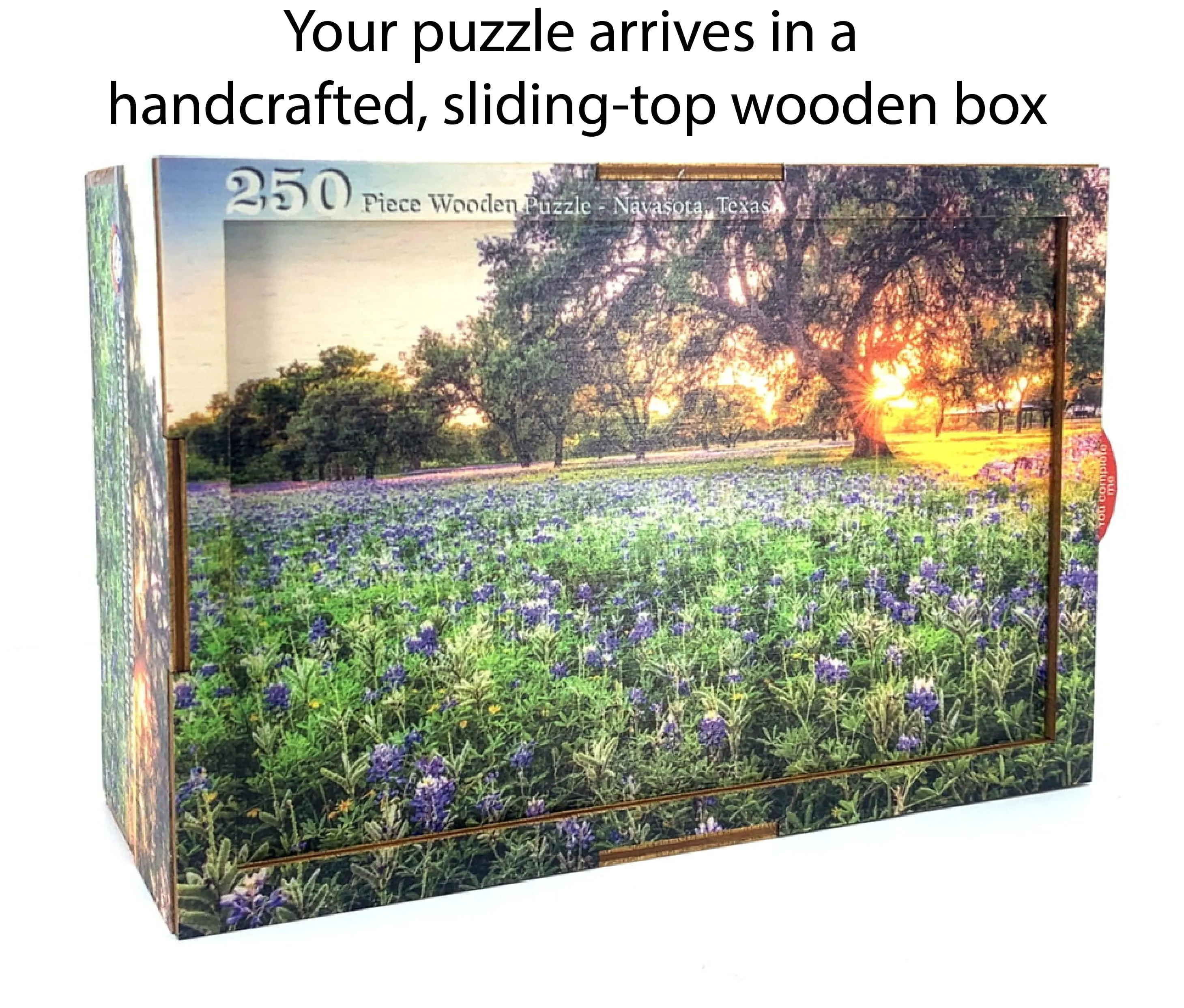 New Mexico Hot Air Balloons | New Mexico Puzzle | 250, 500, 1000 Piece