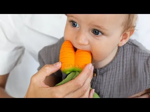 Oli & Carol Cathy the Carrot Mini Doudou Baby Teether