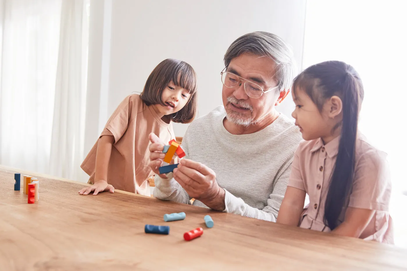 PlanToys Log Puzzle