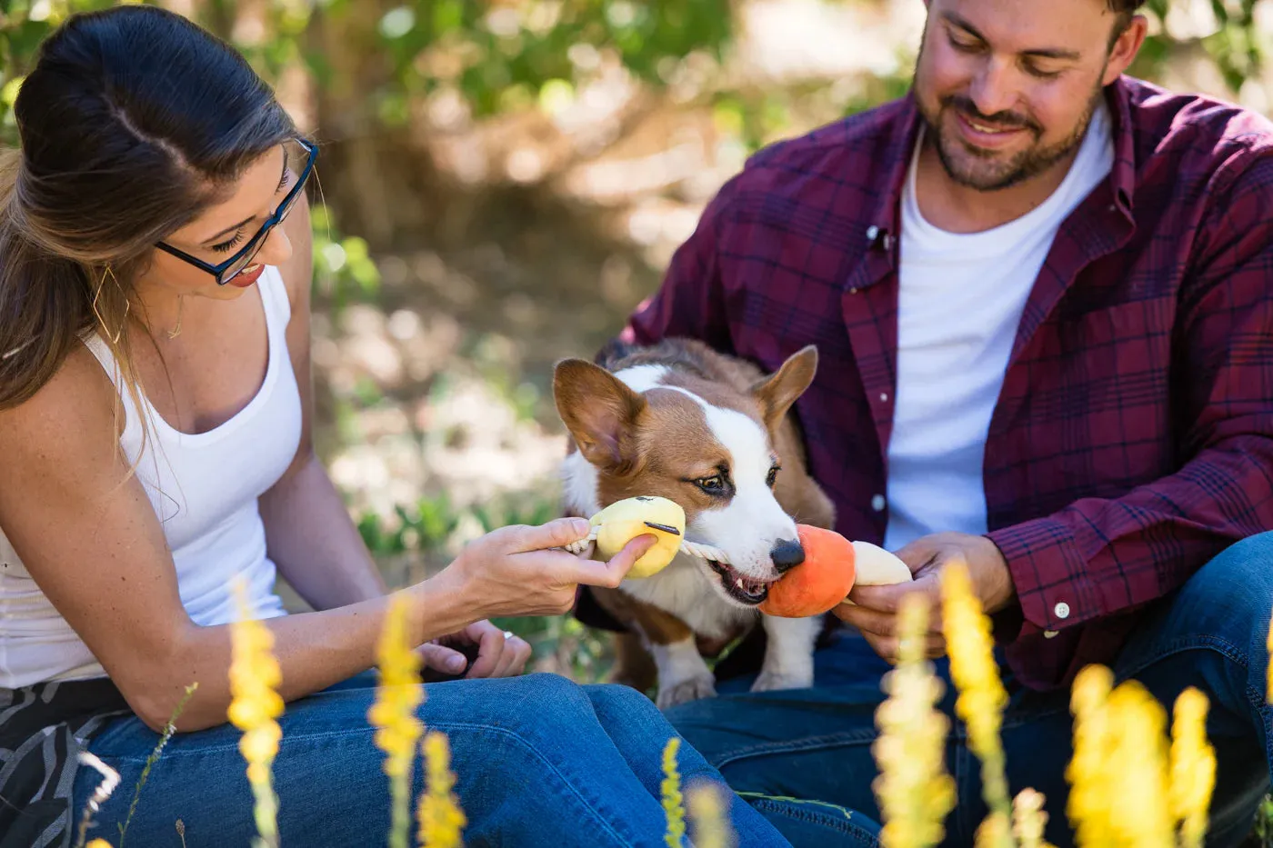 PLAY Dog Toy Halloween Howling Haunts Canine Corn