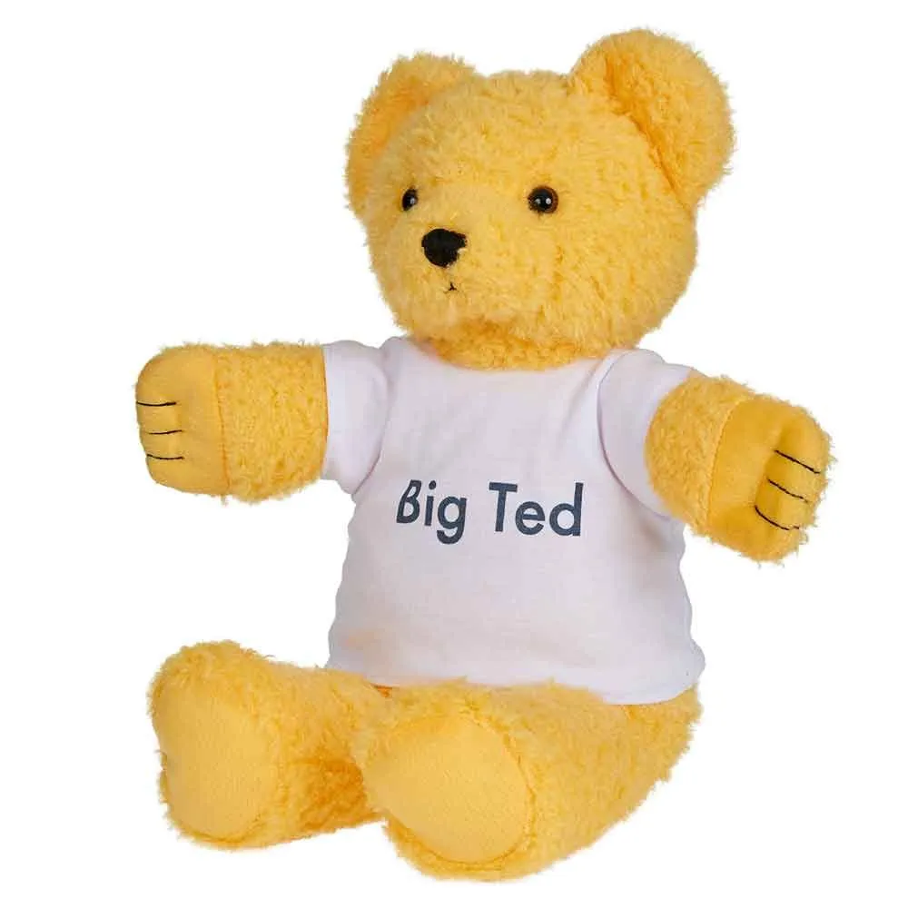 Playschool Big Ted Soft toy