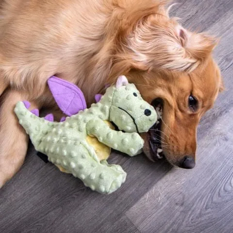 Plush Dragon Dog Toy