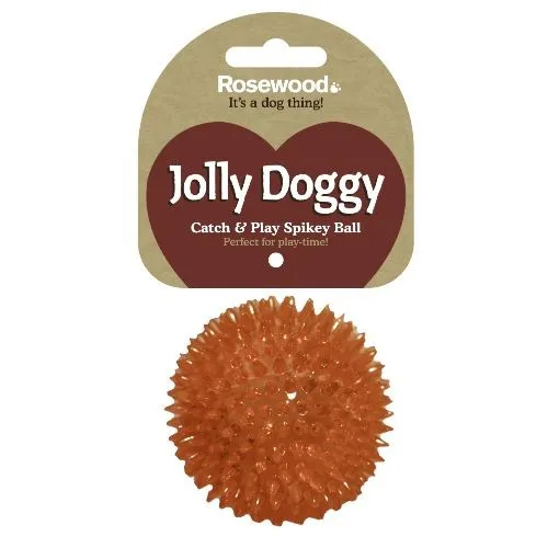 Rosewood Jolly Doggy Catch & Play Spikey Ball