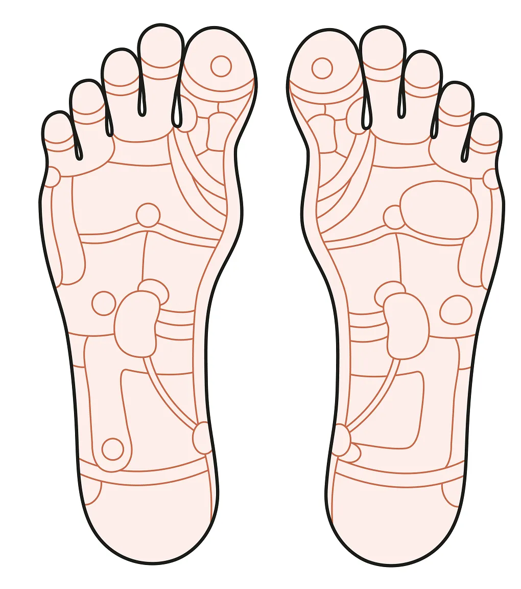 Self-paced Home Study 12 CE Foot Reflexology with Chair Event Massage