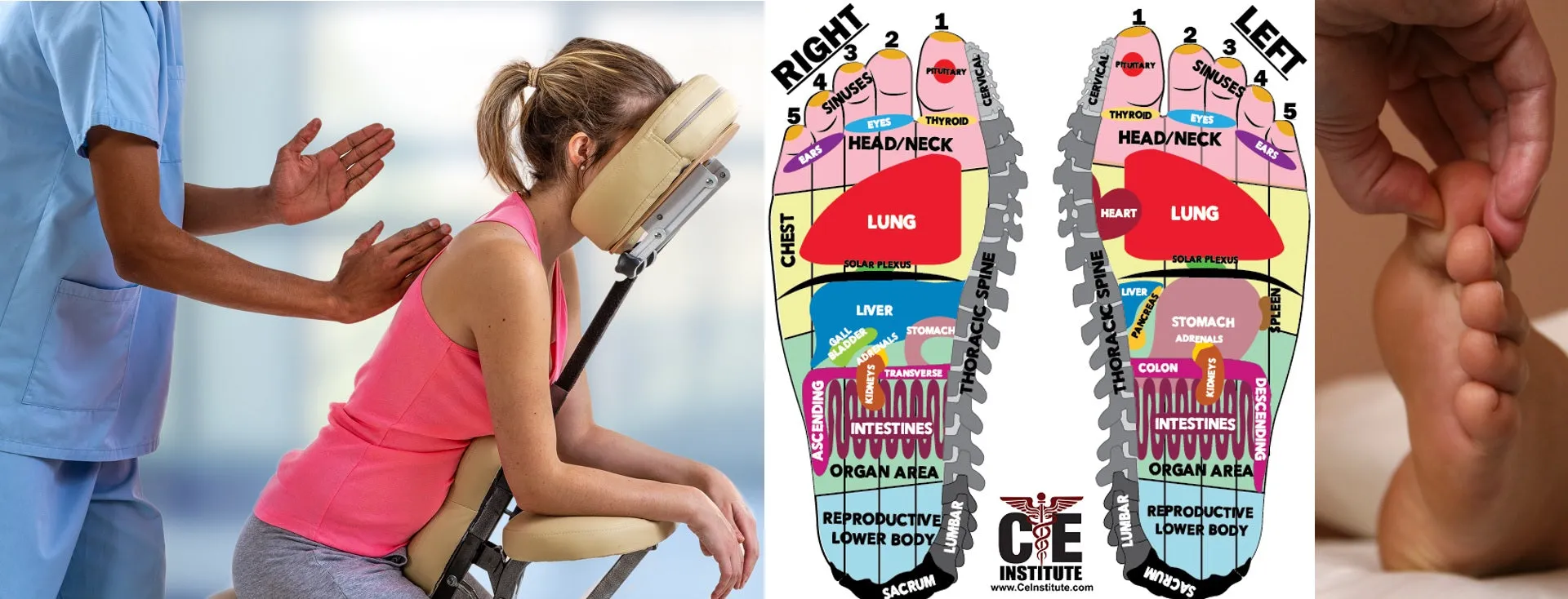 Self-paced Home Study 12 CE Foot Reflexology with Chair Event Massage