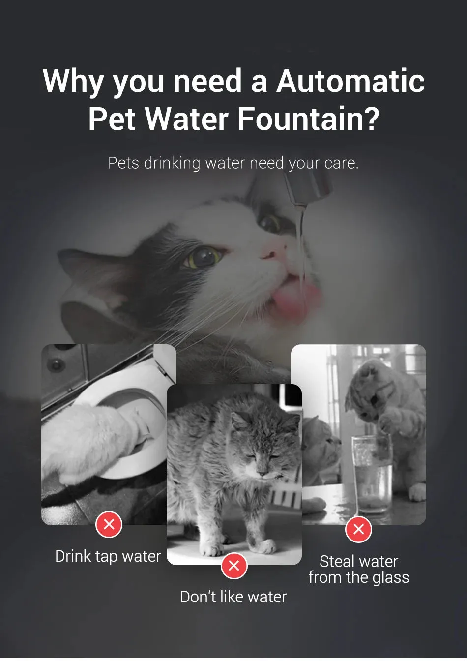 Transparent Automatic Water Fountain for Pets