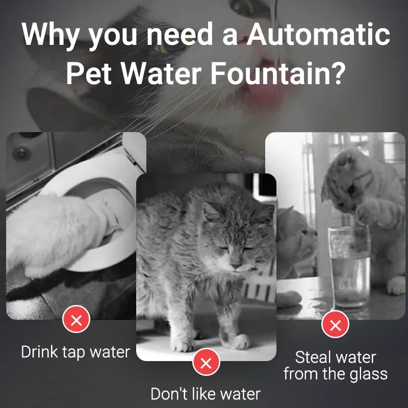 Transparent Automatic Water Fountain for Pets