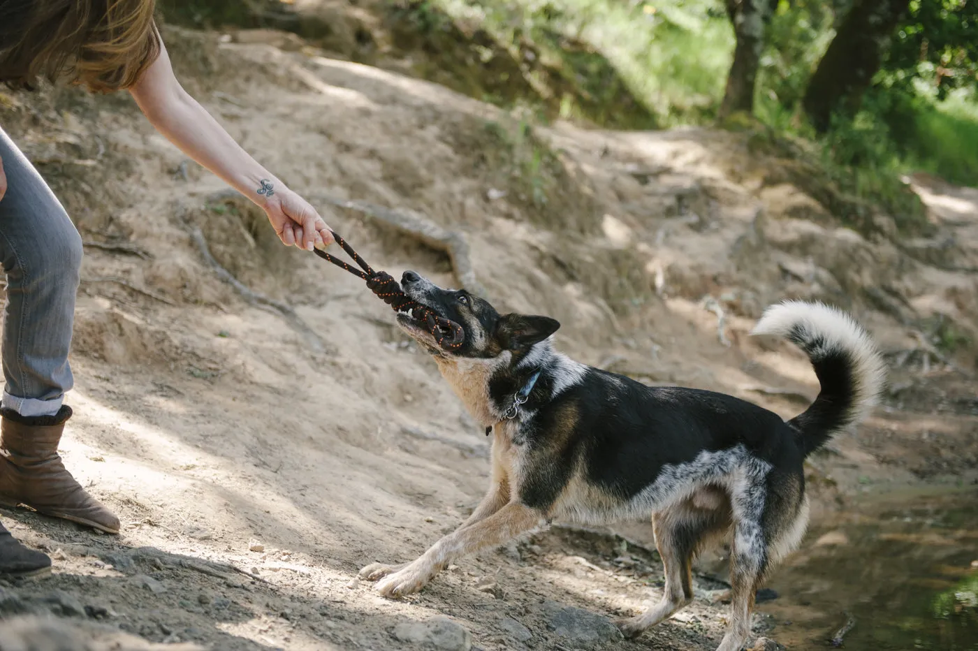 Tug Rope Toy