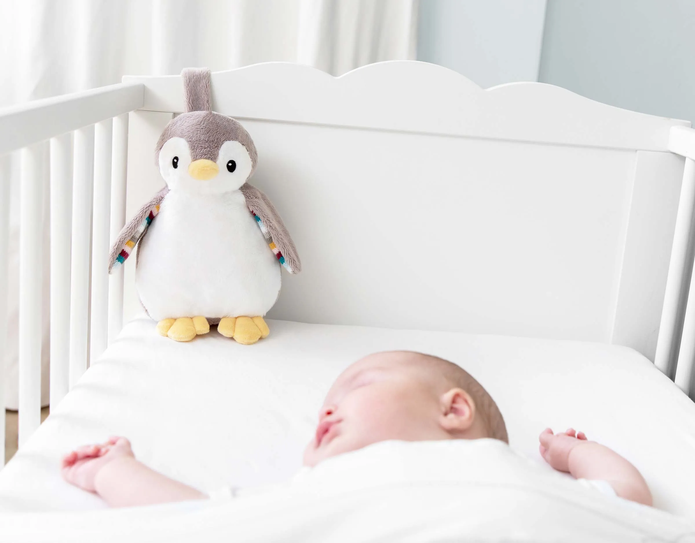 Zazu Phoebe the Penguin - Baby Sleep Shusher